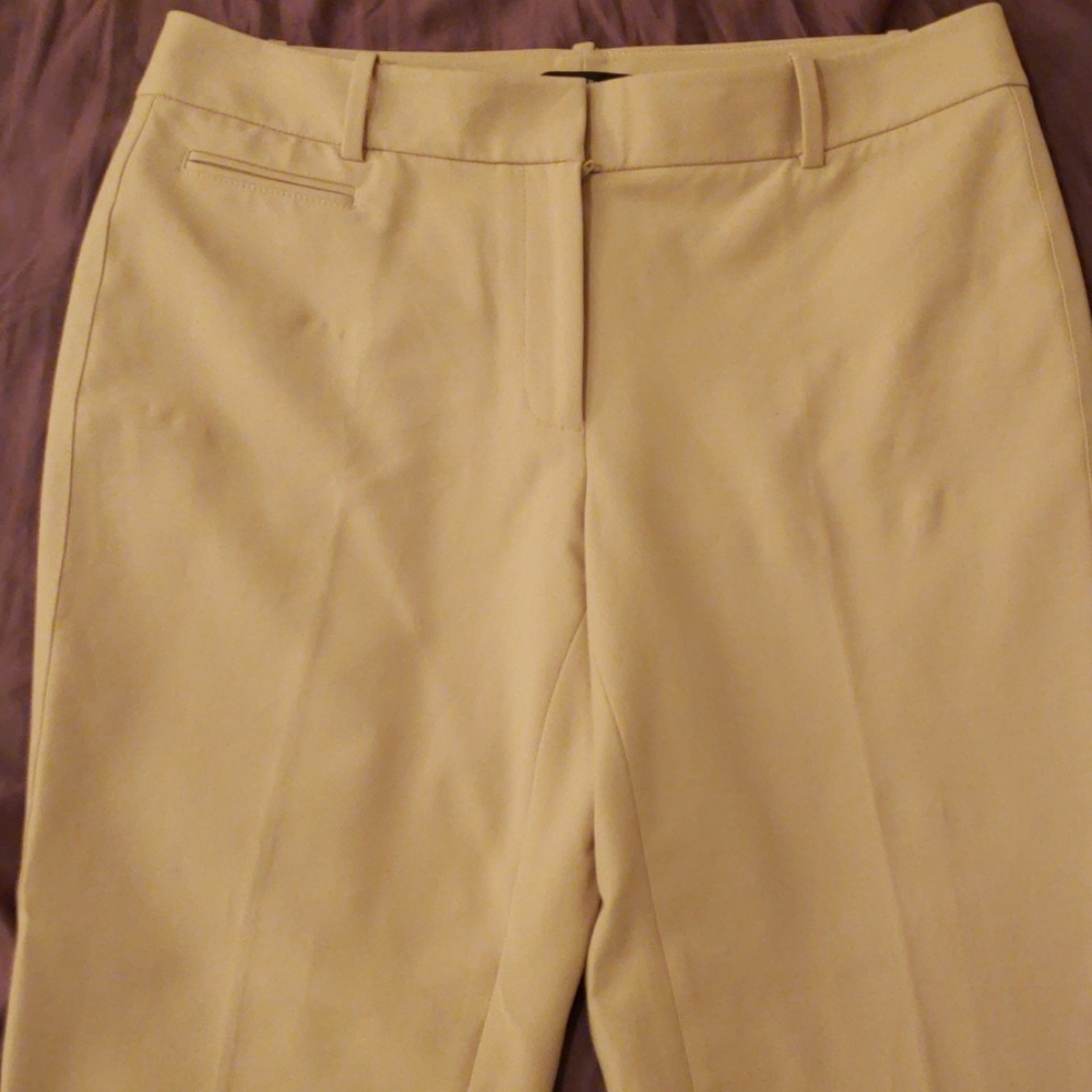 Dress pants
